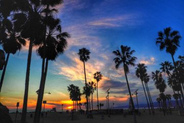 silhouette of palm trees against colorful ocean sunset